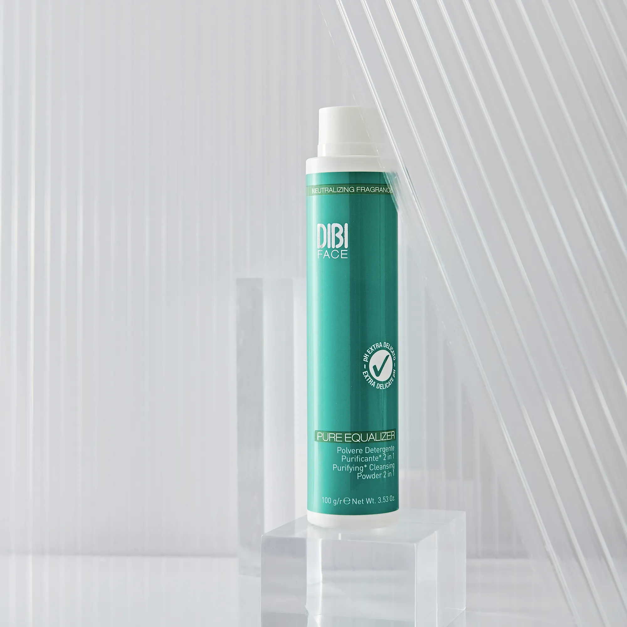 2 IN 1 PURIFYING POWDER CLEANSER