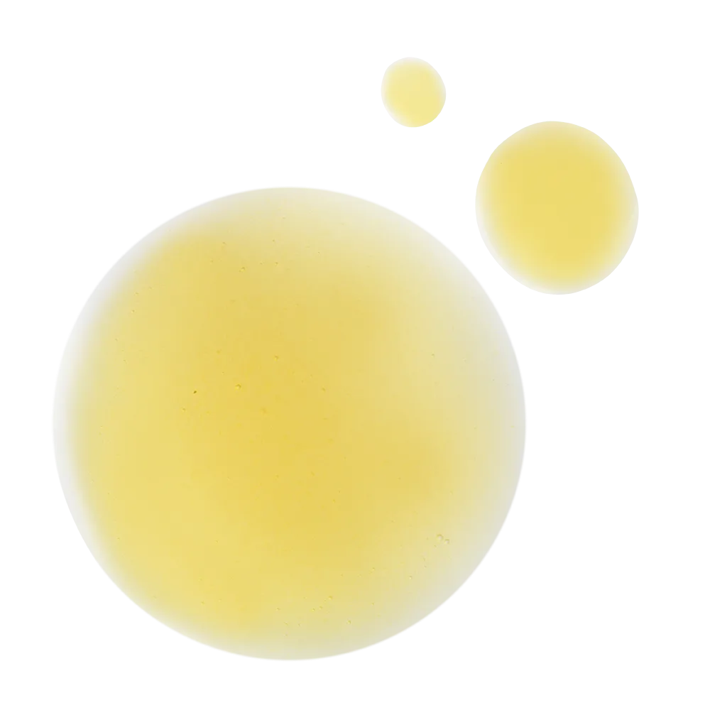 NO-AGE BIOACTIVATING TREATMENT*